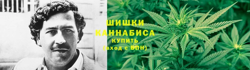 МАРИХУАНА Amnesia  МЕГА онион  Вытегра 